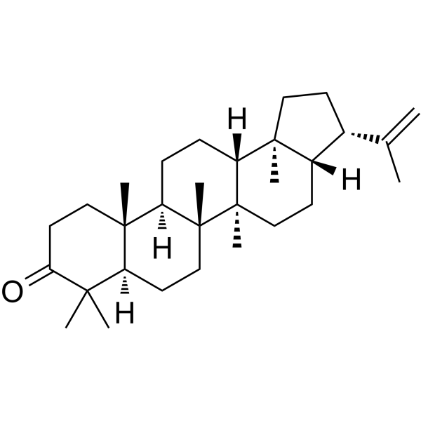 3-Oxo-hop-22(29)-ene 25615-11-6